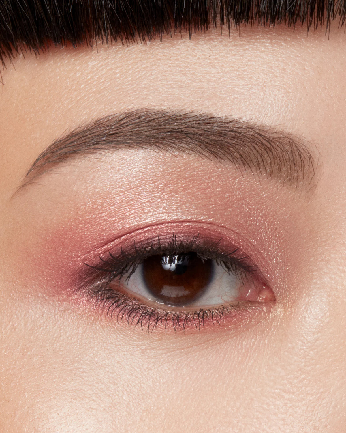 Pin Point Eyeshadow 02 – imagine 6